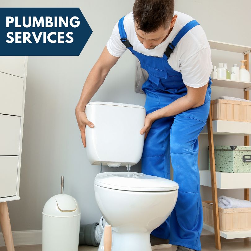 Plumbing Company in Lee Center, IL